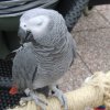 2011-09-04 Wantijpark